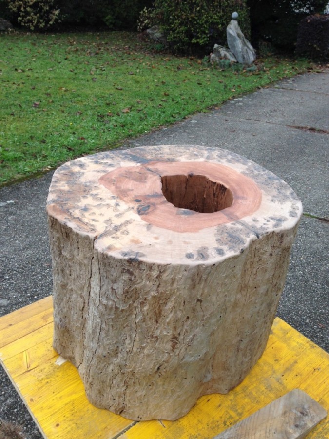 image6